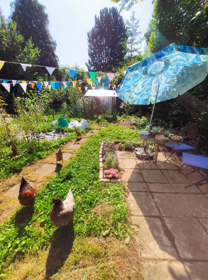 Modernes Zimmer Am Park Mit Garten, Huehner & Enten ميونيخ المظهر الخارجي الصورة
