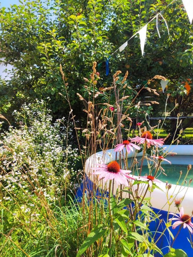 Modernes Zimmer Am Park Mit Garten, Huehner & Enten ميونيخ المظهر الخارجي الصورة